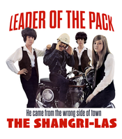 Leader Of The Pack Shangri-las T-Shirt Soft Cotton Tee Gift